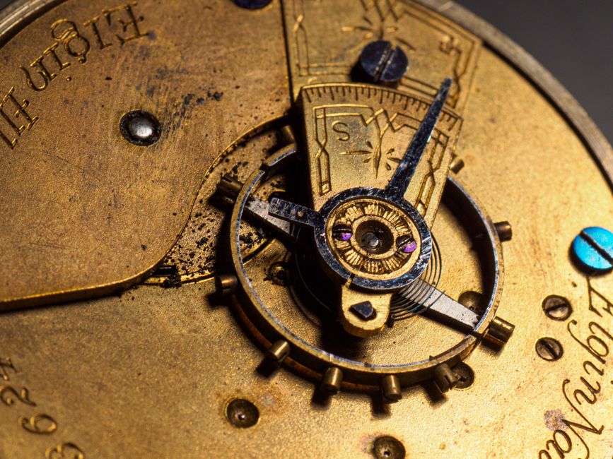A Realistic Routine for Movement Mechanics & Calibers That Fits a Busy Life